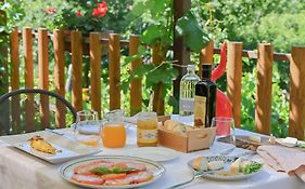 Agriturismo Il Tintore
